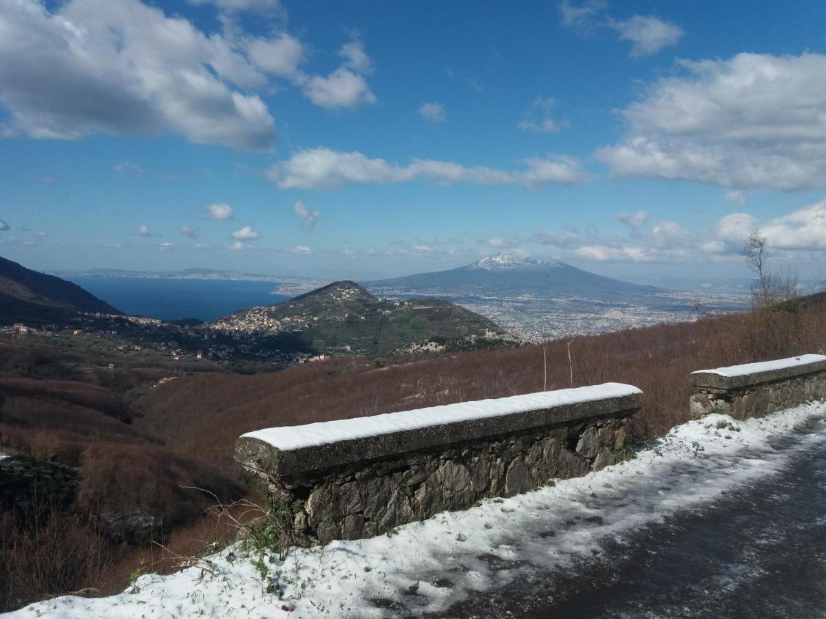 Bed and Breakfast Il Ceppo Sui Sentieri Per Amalfi Pimonte Exteriér fotografie