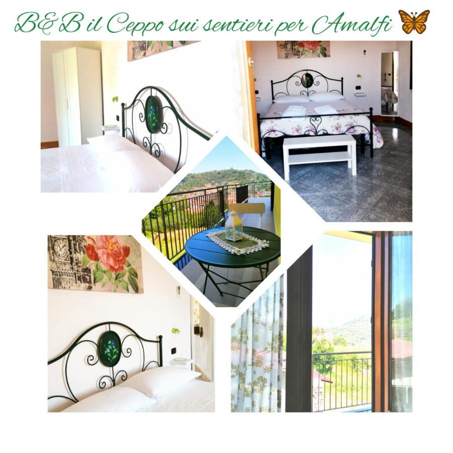 Bed and Breakfast Il Ceppo Sui Sentieri Per Amalfi Pimonte Exteriér fotografie